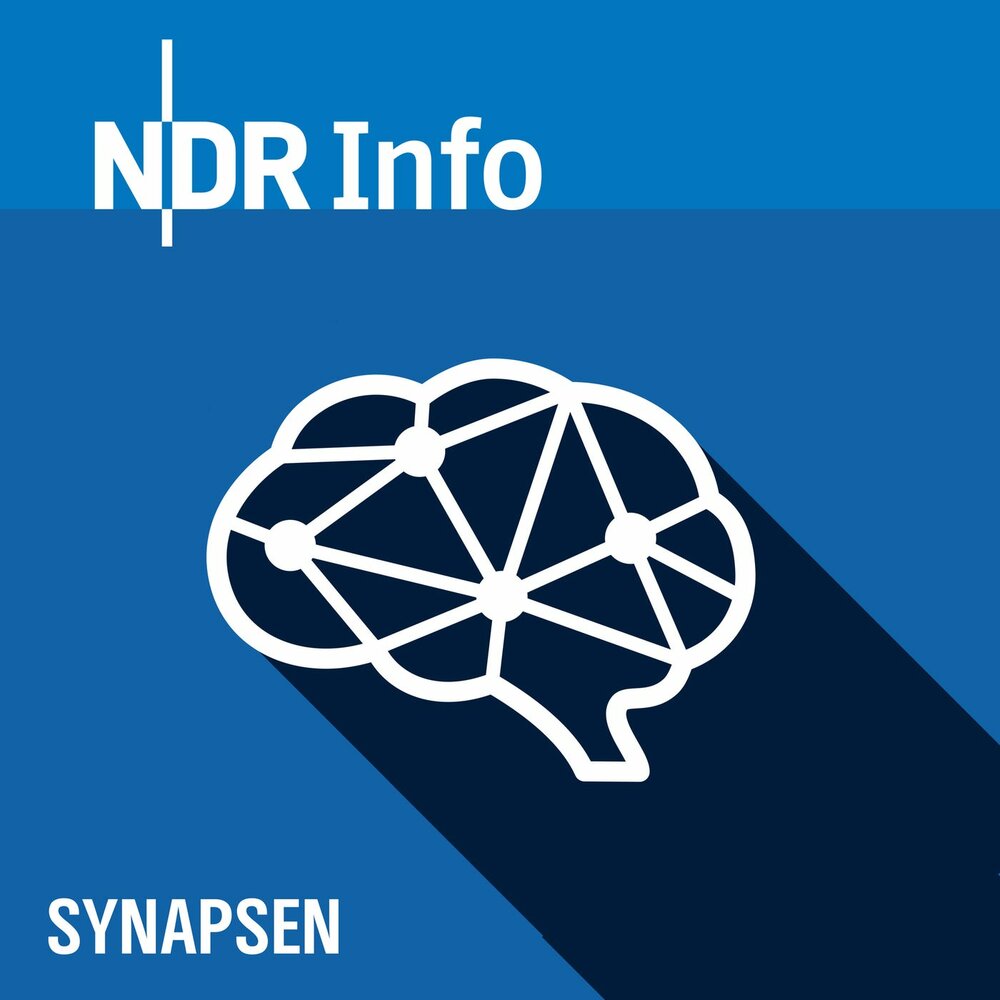 NDR Info Synapsen: (39) Moralische Verletzungen