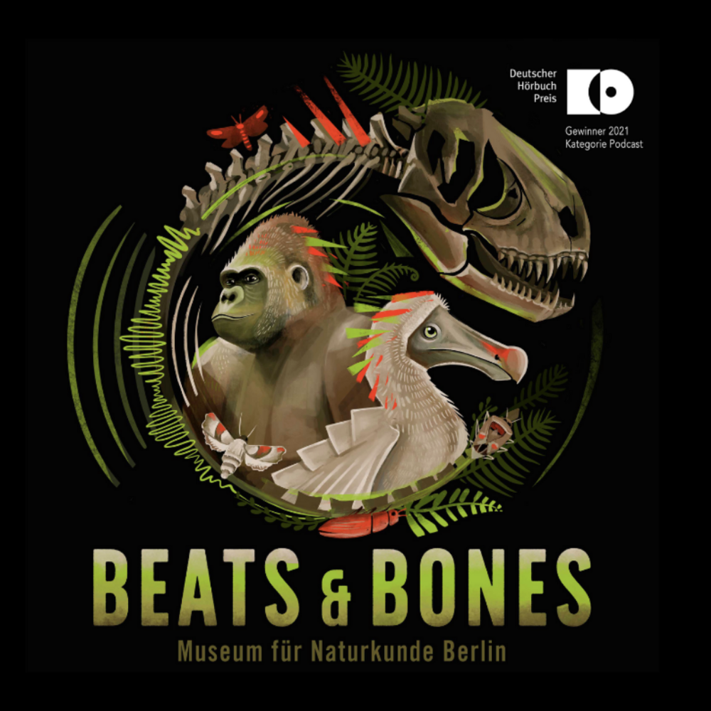 Beats & Bones