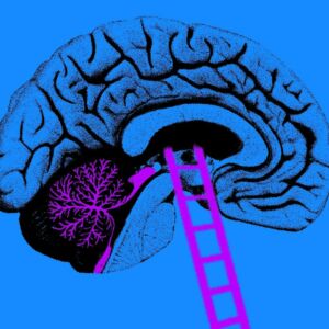 Deep Science – Manipulierte Erinnerungen