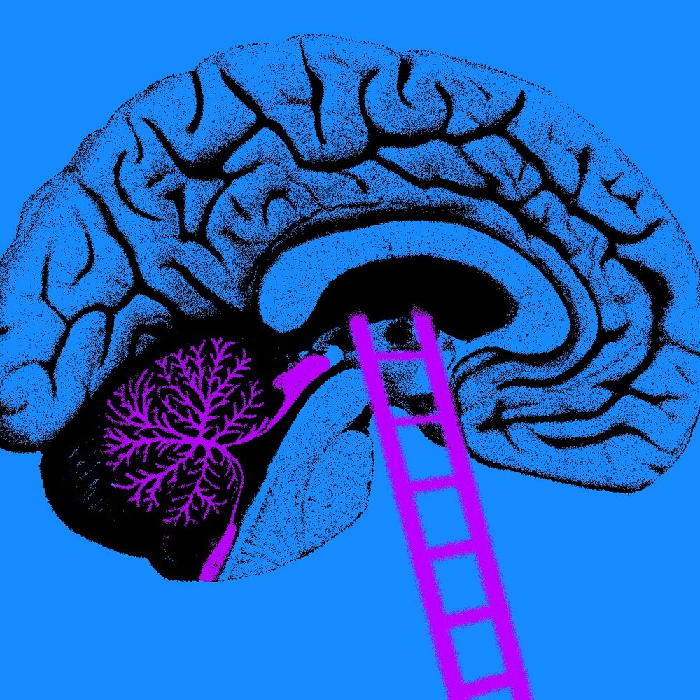 Deep Science – Manipulierte Erinnerungen