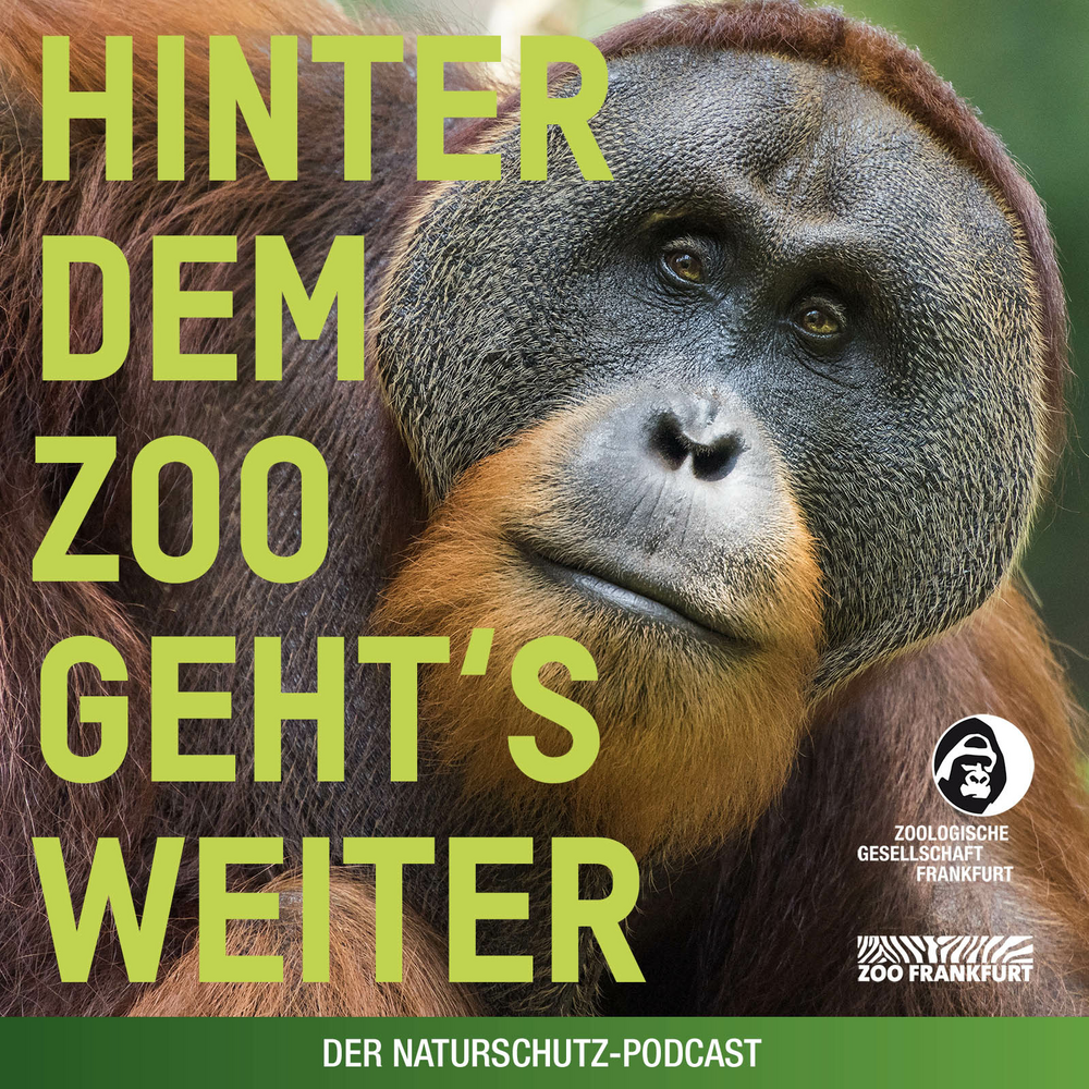 Hinter dem Zoo geht’s weiter