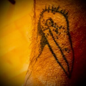 Vogel der Woche