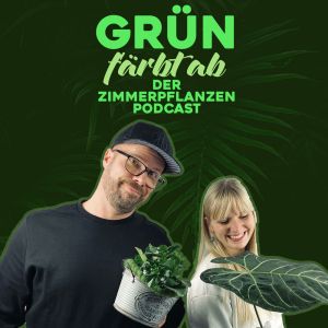 Grün färbt ab – der Zimmerpflanzenpodcast